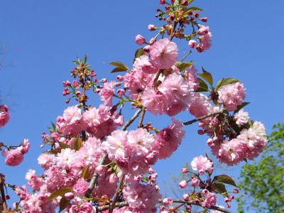 Прикрепленное изображение: sc2.jpg